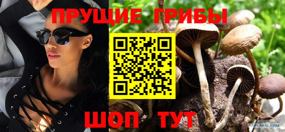 наркошоп  Псилоцибиновые грибы Cubensis  Вход с VPN  Сергиев Посад 