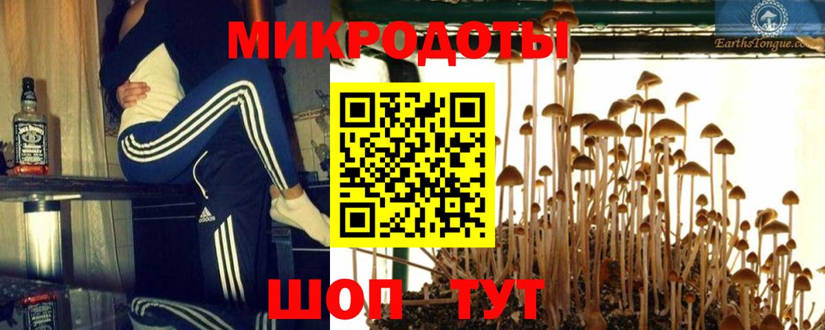 Галлюциногенные грибы Psilocybe Сергиев Посад